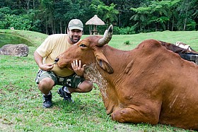 Hotel Fazenda (Vaca, bezerro, galinha)